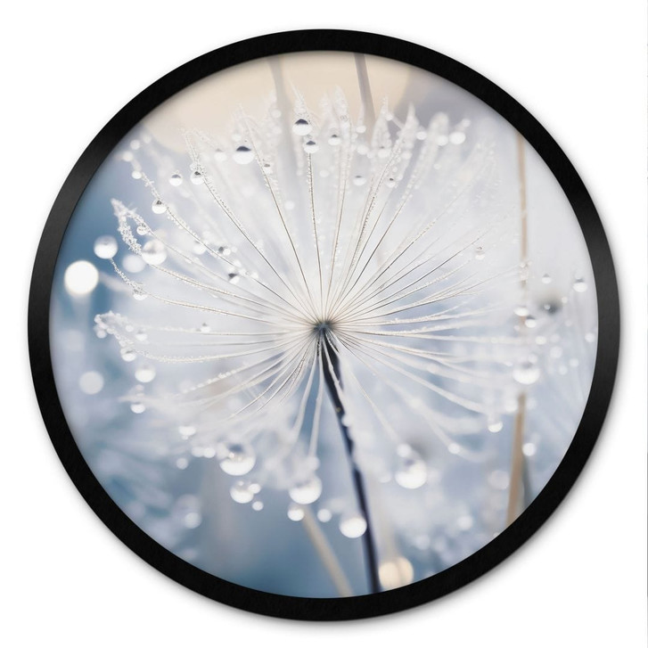 Poster Funkelnde Pusteblumen - Treechild - Rund - WA498788
