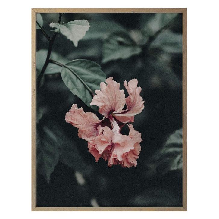 Poster Tropische Blüte - WA239960