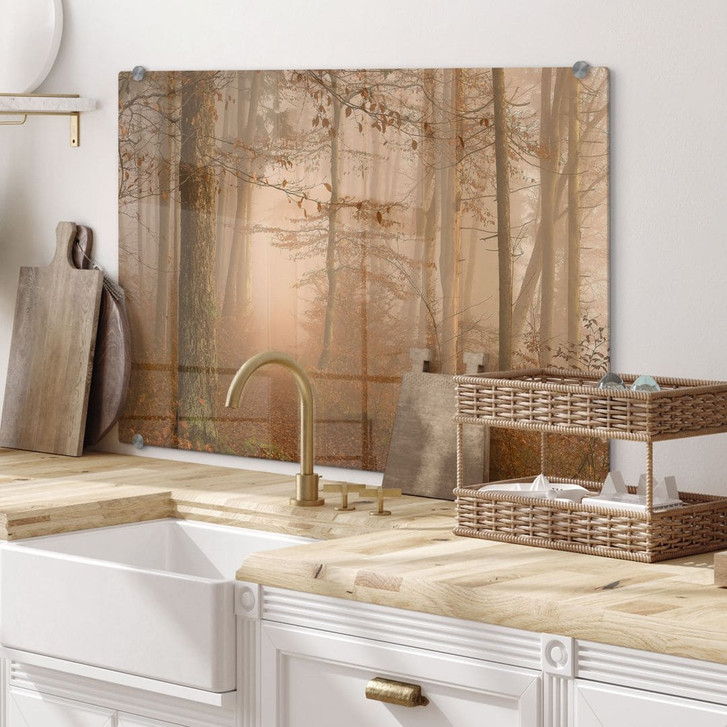 Spritzschutz Dunst und Licht im herbstlichen Wald - Maier - WA451804