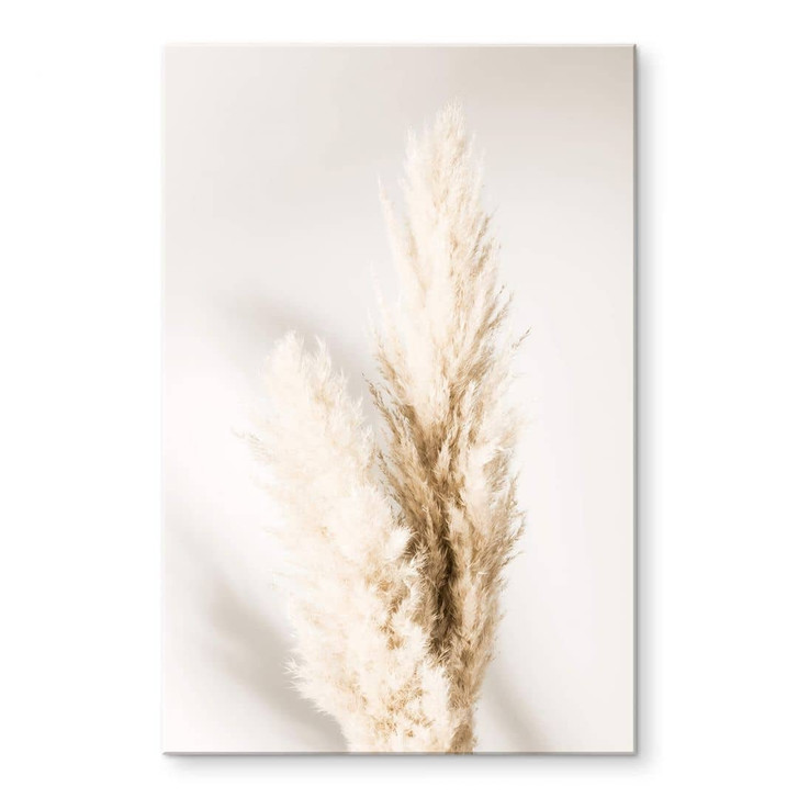 Acrylglasbild 1X Studio - Gebundenes Pampasgras - WA319372