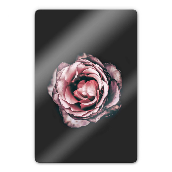 Glasbild Pink Flower Dream 02 - WA232388