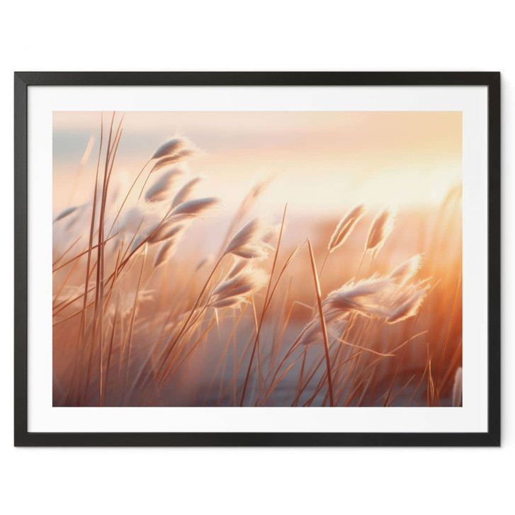 Poster Dünengras in der Abendsonne - Treechild - WA473593