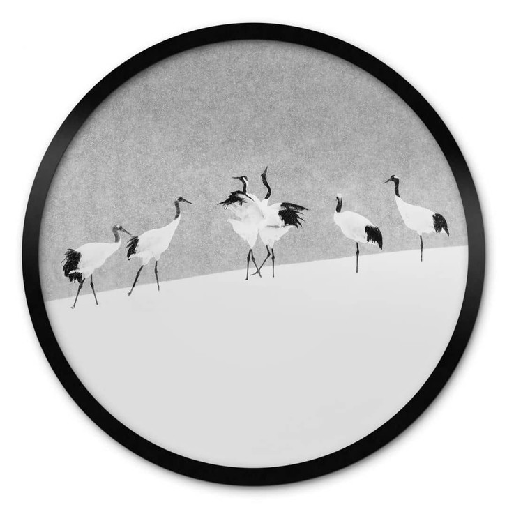 Poster Marchegiani - Kraniche in einer Schneelandschaft - Rund - WA349562
