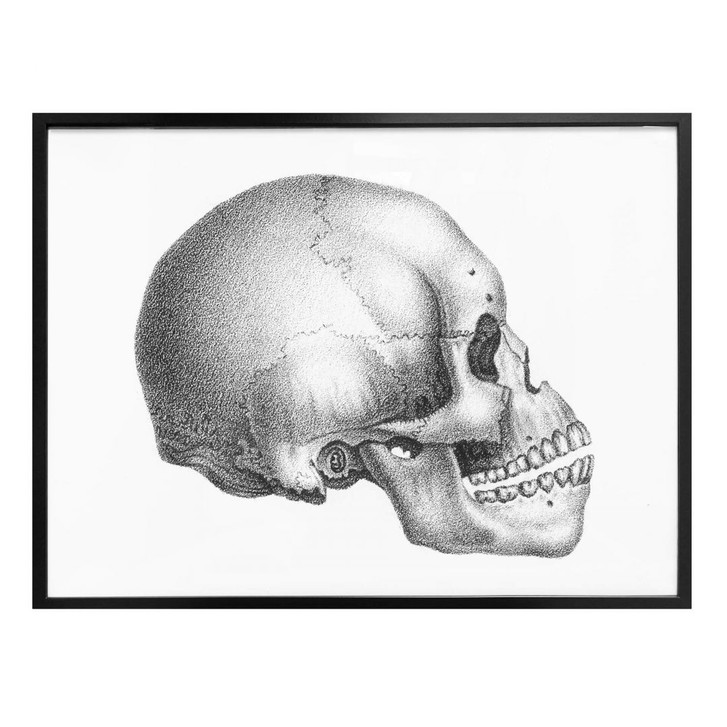 Poster Totenschädel 02 - WA239933