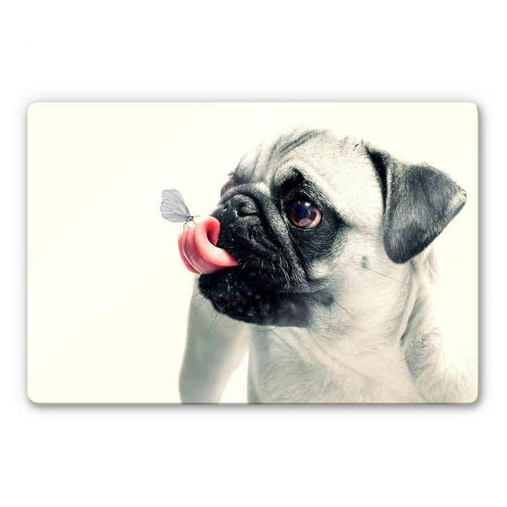 Glasbild Tierische Zuneigung - WA420197