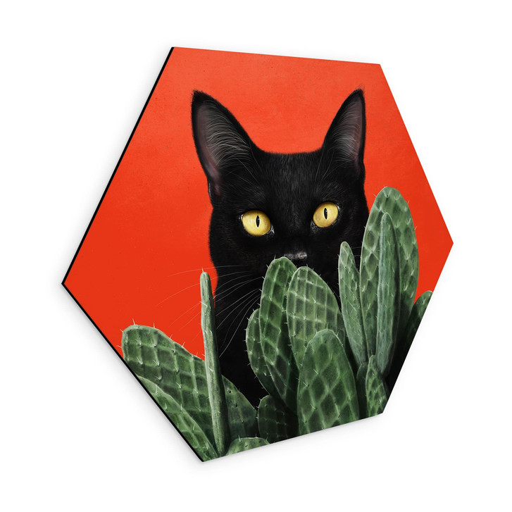 Hexagon Wandbild Schwarze Katze im Kaktus-Versteck - Korenkova - Alu-Dibond - WA514743