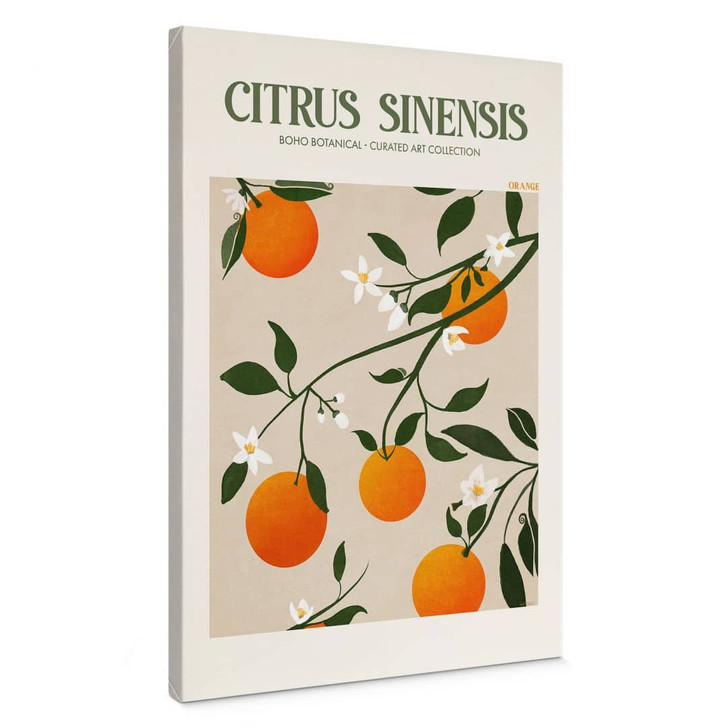 Leinwandbild Boho Orangenbaum - Citrus Sinensis - Tunaboylu - WA426250