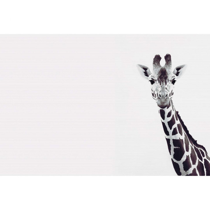 Livingwalls Fototapete ARTist Giraffe Potrait mit Giraffe schwarz, weiss - WA310844