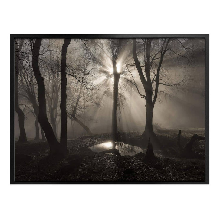 Poster Cuadrado - The Spirit - WA317889