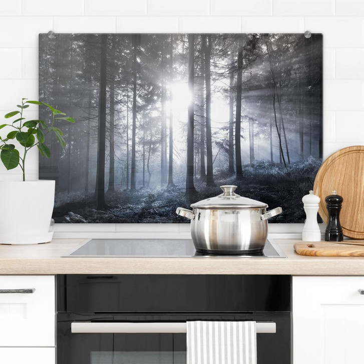 Spritzschutz Sonnenstrahlen im Wald Blau - WA305222