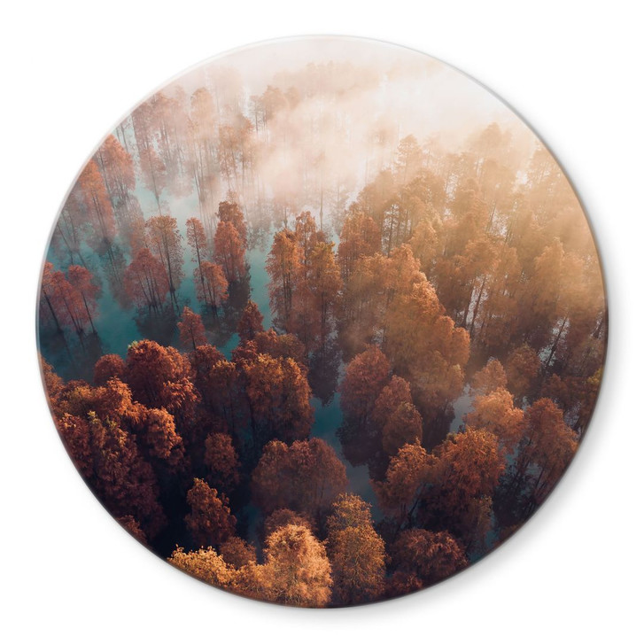 Glasbild Herbstwald im Nebel - Ioricon - Rund - WA399841