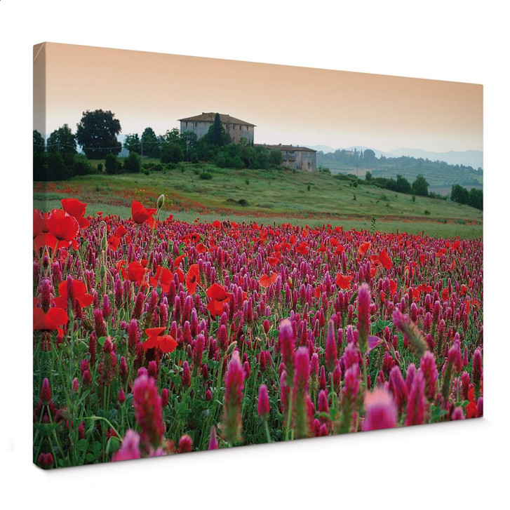 Leinwandbild Blumenwiese Toskana - WA359281