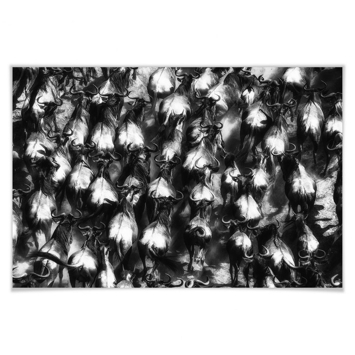 Poster Alnaser - Grosse Flucht - WA157045