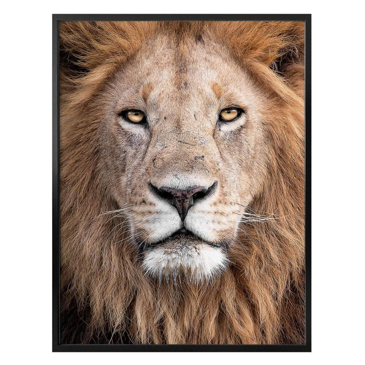 Poster van Duijn - Löwenblick - WA329369