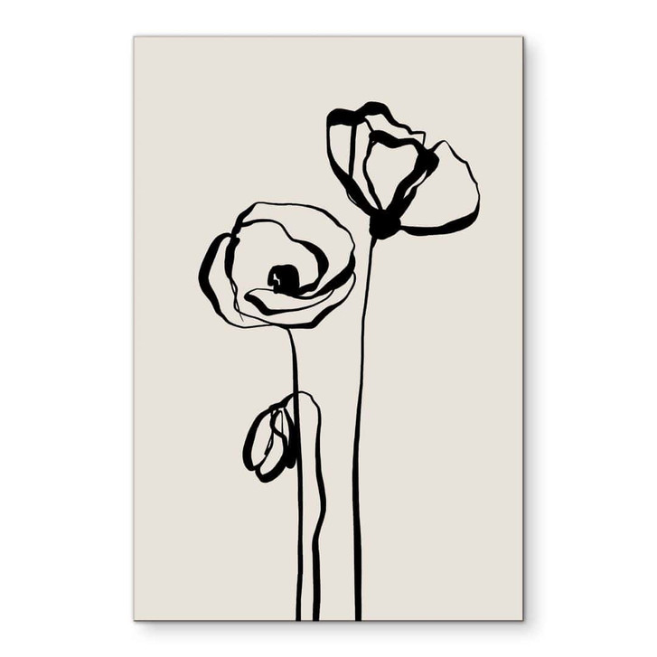 Wandbild Line Art Zwei Mohnblumen - Cats & Dotz - Alu-Dibond - WA491607