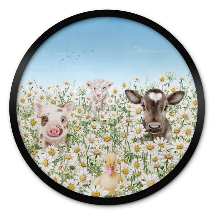 Poster Bauernhoftiere auf der Blumenwiese - Kikki Belle - Rund - WA417518