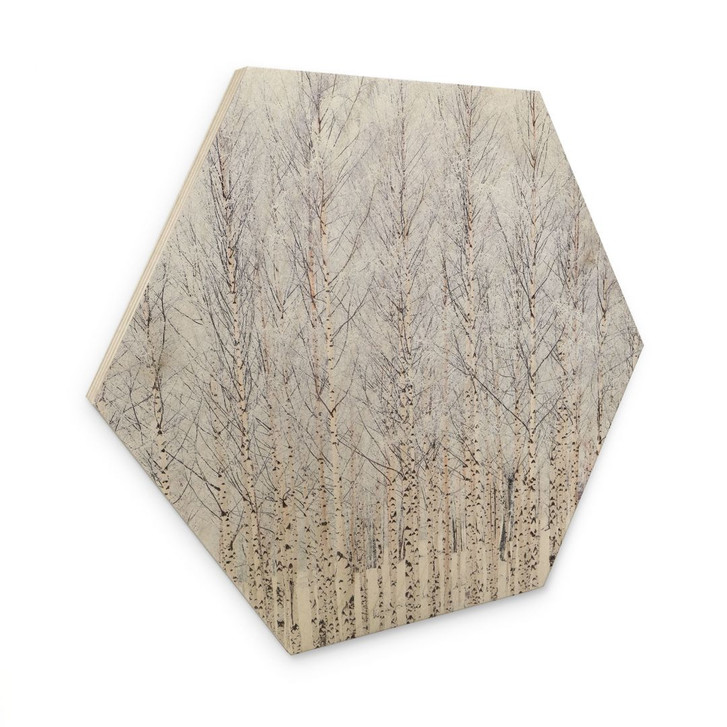 Hexagon Holzbild Birkenwald im Winter - EMELIEmaria - WA495349