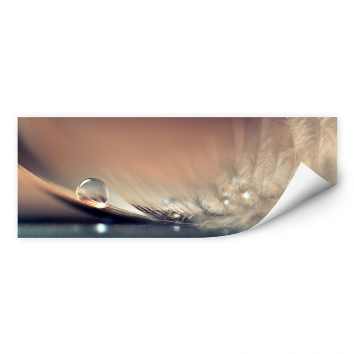 Wallprint Dmitry - Story of a Waterdrop - WA183225