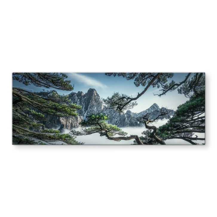 Glasbild Kiefernwald im Huang Shan Gebirge - NingYun Ye - Panorama - WA434310