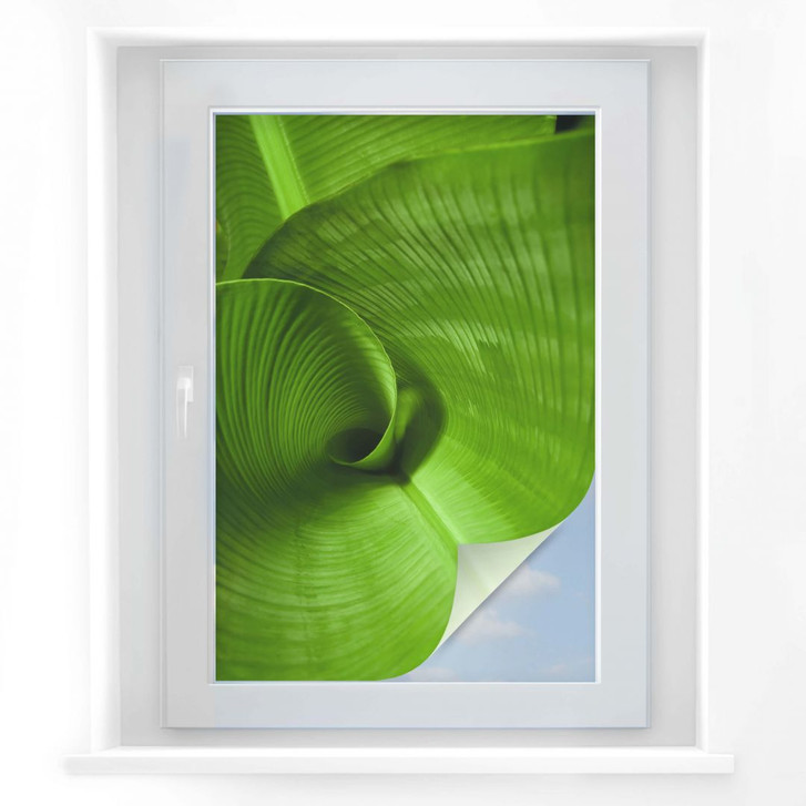 Sichtschutzfolie Bananenblatt - WA173883