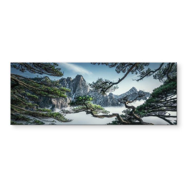 Acrylglasbild Kiefernwald im Huang Shan Gebirge - NingYun Ye - Panorama - WA434061