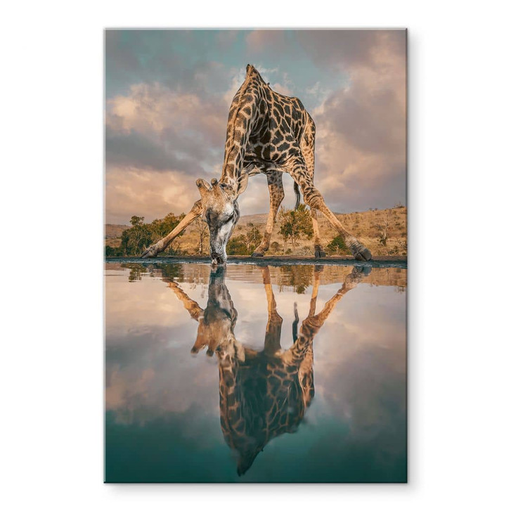 Acrylglasbild Reflexion einer Giraffe in der Wildnis - Amtmann - WA431163