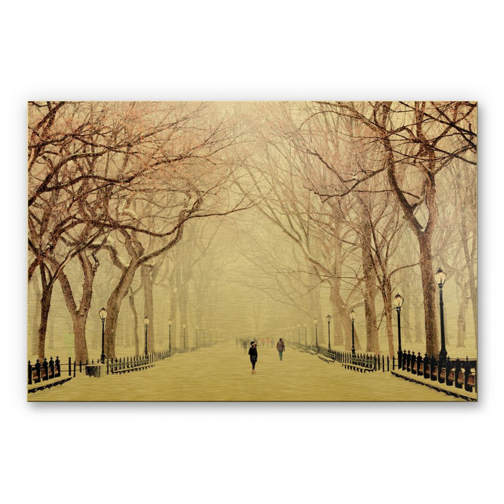 Alu-Dibond-Goldeffekt - Winter im Central Park - WA231013
