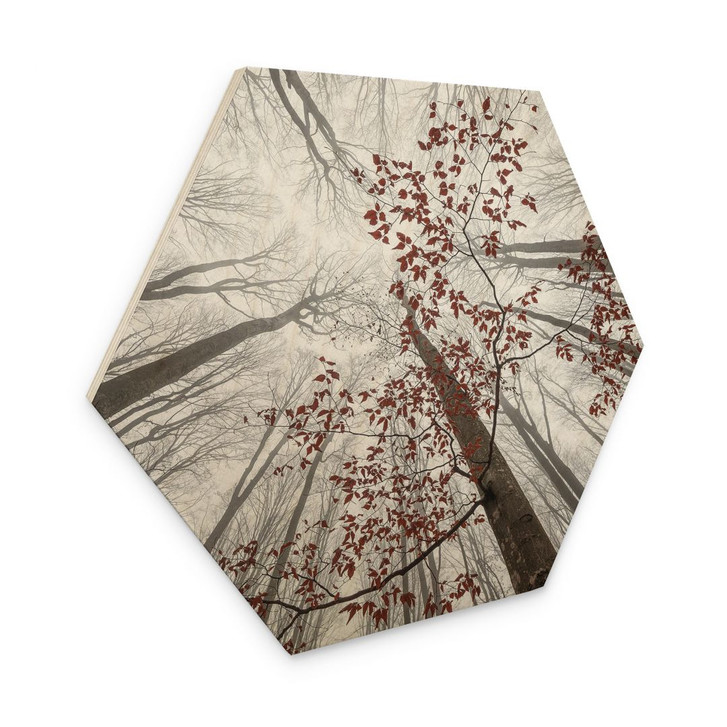 Hexagon Holzbild Baumkronen mit roten Blättern - Coman - WA400543