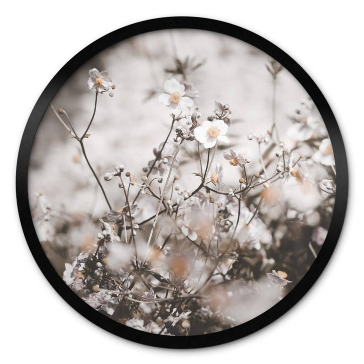 Poster Annie - Wildblumen - Rund - WA336737