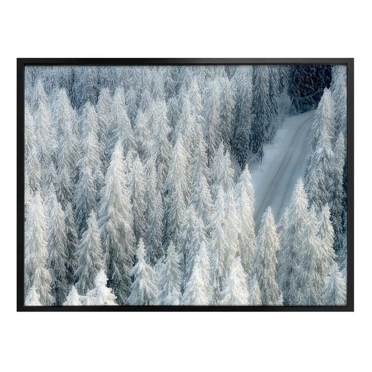 Poster Kalliolahti - Weisser Winter - WA323287