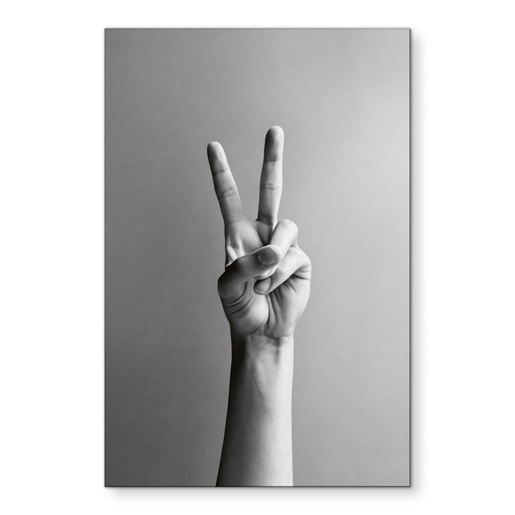 Wandbild Victory Hand - Zeichen des Friedens und Sieges - Bühler - Alu-Dibond - WA431476