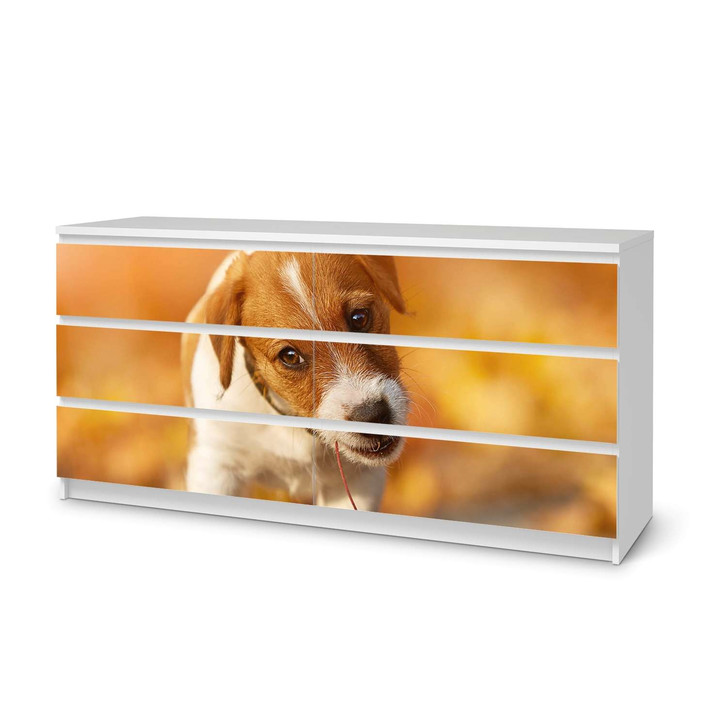 Möbelfolie IKEA Malm Kommode 6 Schubladen (breit) - Jack the Puppy - CR116587