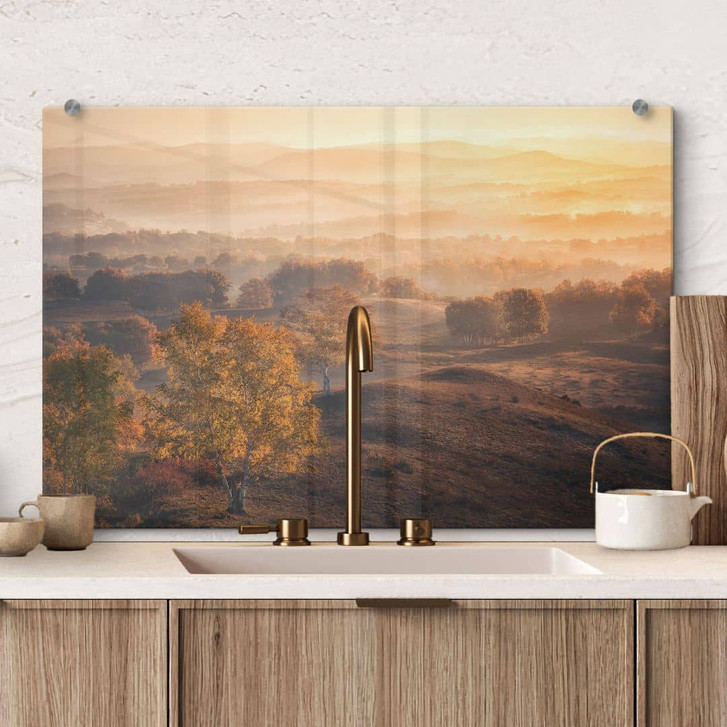 Spritzschutz Birkenbäume im goldenen Morgentau - Cui - WA456350