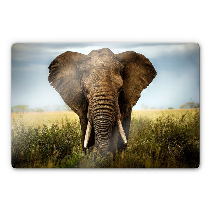 Glasbild Ghizzi- Panizza - Begegnungen in der Savan - WA123328