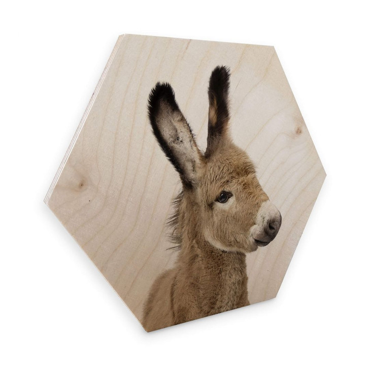 Hexagon - Holz Birke-Furnier Sisi & Seb - Baby Esel - WA295608