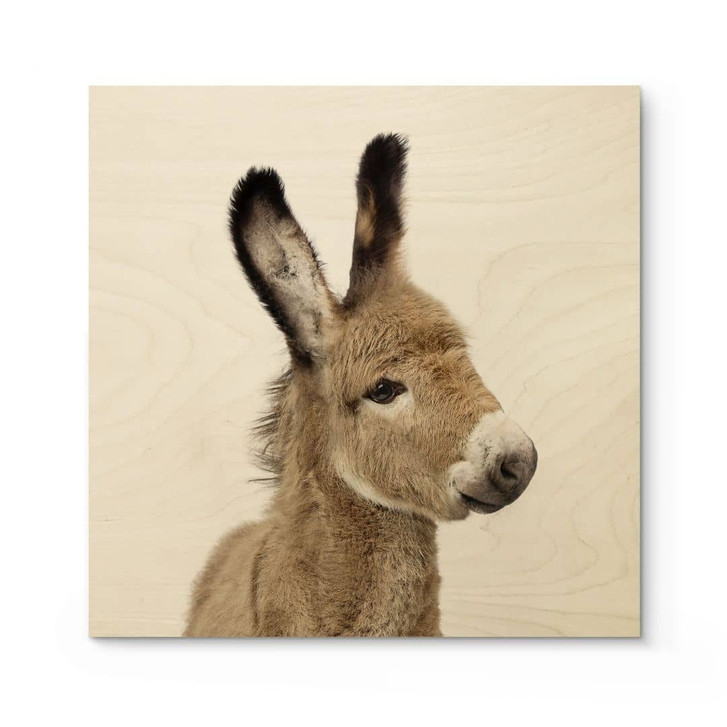 Holzbild Baby Esel - Quadratisch - Sisi & Seb - WA401353