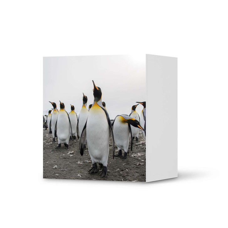 Klebefolie IKEA Besta Regal 1 Türe - Penguin Family - CR109214