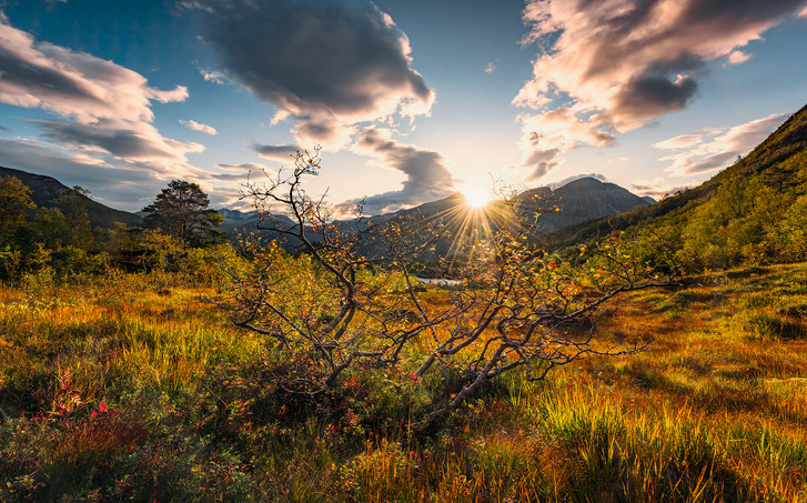 Digitaldrucktapete Norwegische Herbstwelten - KOSHX9-060