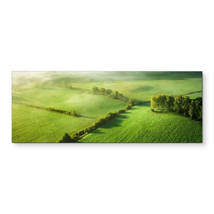 Wandbild Idyllische Felder im Nebel - Keller - Panorama - Alu-Dibond - WA431262