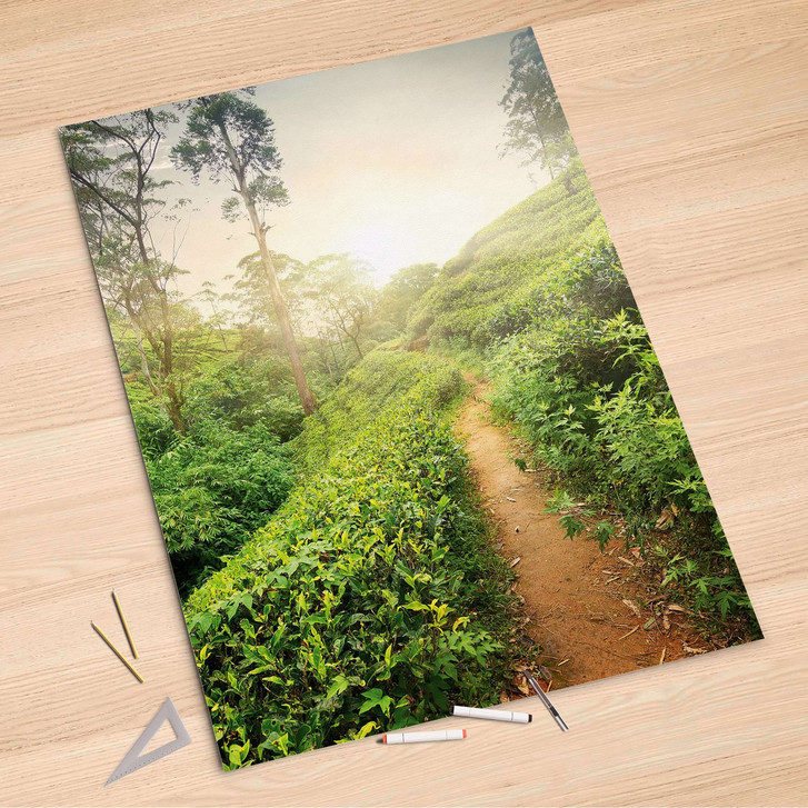 Folienbogen (100x150cm) - Green Tea Fields - CR106188