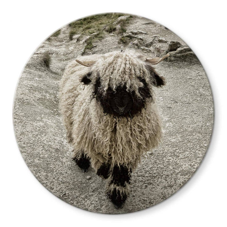 Glasbild Landolt - Ausflug in die Berge - Rund - WA326366