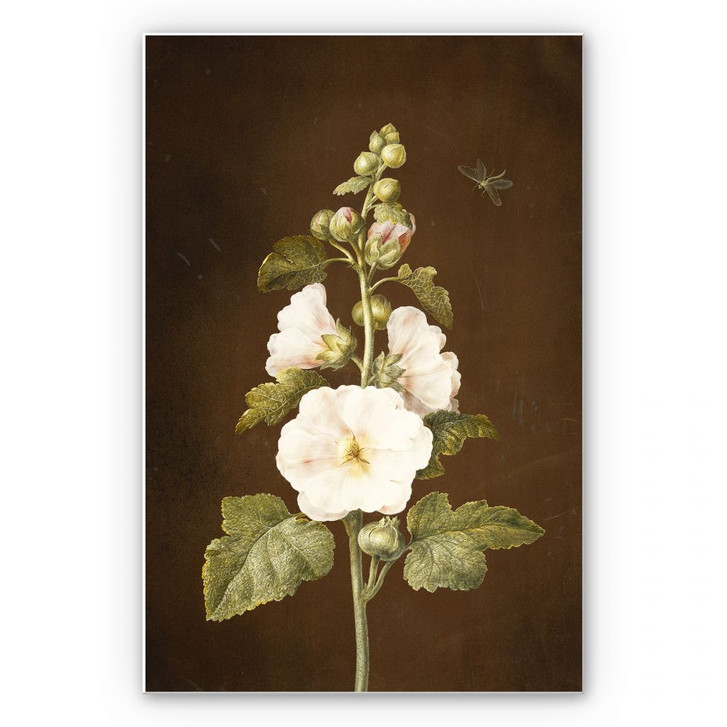 Hartschaumbild Dietzsch - Stockrose - WA129840