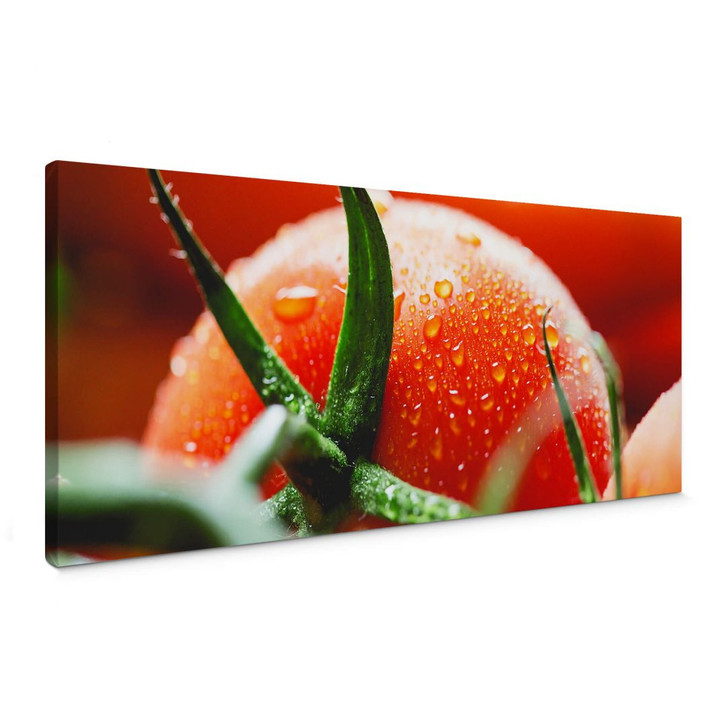 Leinwandbild Fresh Tomato - Panorama - WA363299