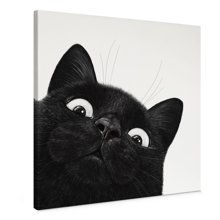 Leinwandbild Lustige schwarze Katze - Korenkova - Quadratisch - WA516644
