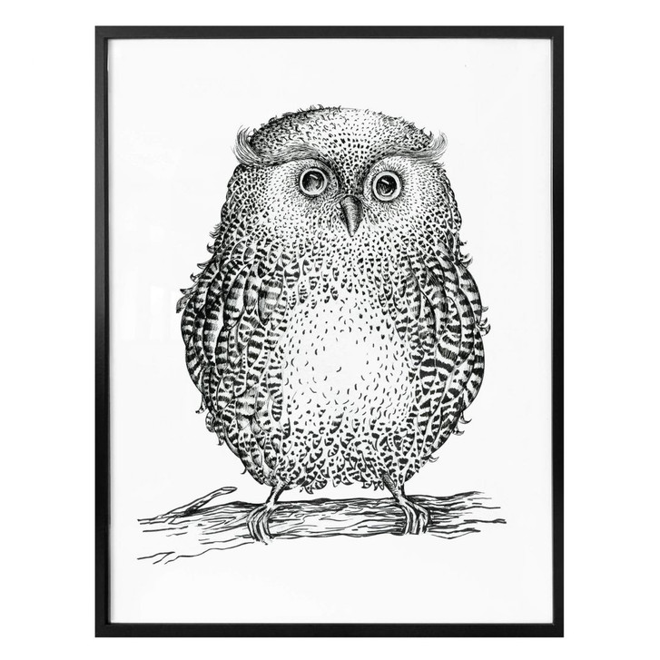 Poster Kvilis - Eule 02 - WA162332