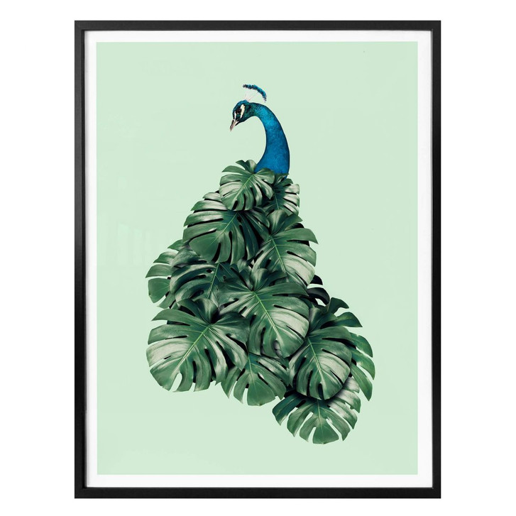 Poster Loose - Monstera Bird - WA281654