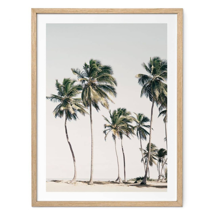 Poster Tropische Palmen am Strand | Inselflair im Sommer - Sisi & Seb - WA473581