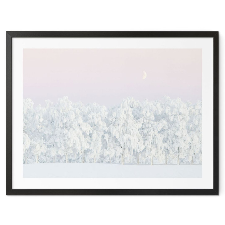 Waldposter Verschneiter Winterwald mit Mond - EMELIEmaria - WA498250