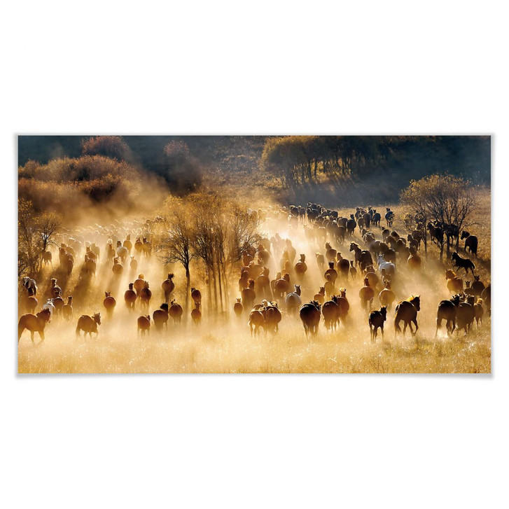 Poster Zhu - Wildpferde in den Bergen - Panorama - WA249610