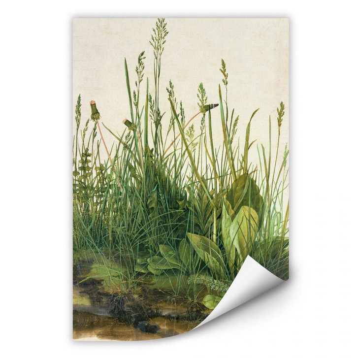 Wallprint Dürer - Das grosse Rasenstück - WA183335